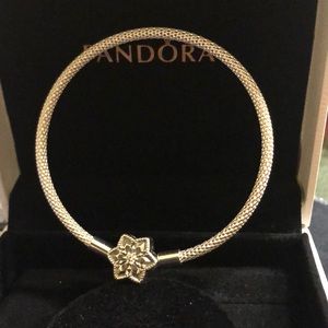 Pandora bracelet